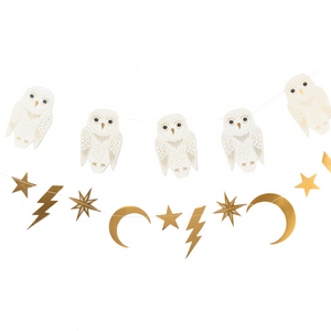 
                
                    Load image into Gallery viewer, Halloween Spellbound Owl Banner Set (2 x 5&amp;#39;)
                
            