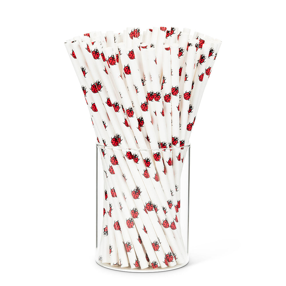 
                
                    Load image into Gallery viewer, Ladybug Paper Straws
                
            