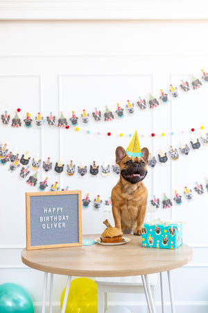 
                
                    Load image into Gallery viewer, Doggie Party Collection
                
            
