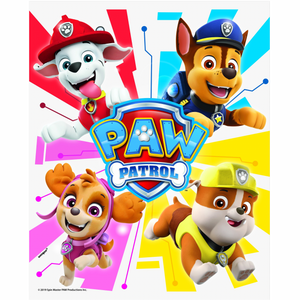 
                
                    Load image into Gallery viewer, Paw Patrol Loot Bags
                
            