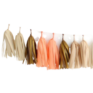 
                
                    Load image into Gallery viewer, Tissue Paper Tassel Garland Kit
                
            