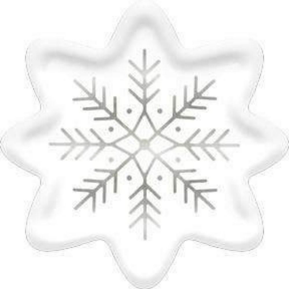 
                
                    Load image into Gallery viewer, White snowflake plate winter xmas christmas holiday silver white party shop toronto 
                
            